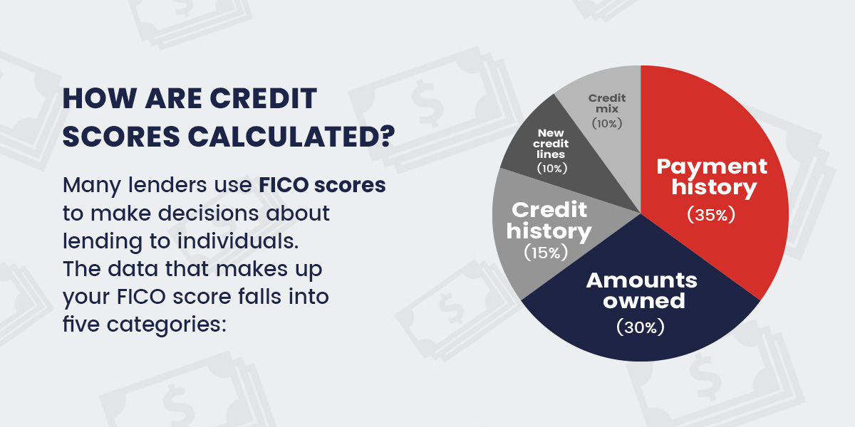 Pie chart breaking down factors used for credit score calculation